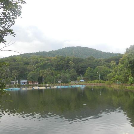Zamaraya Bed & Breakfast Angamali Luaran gambar