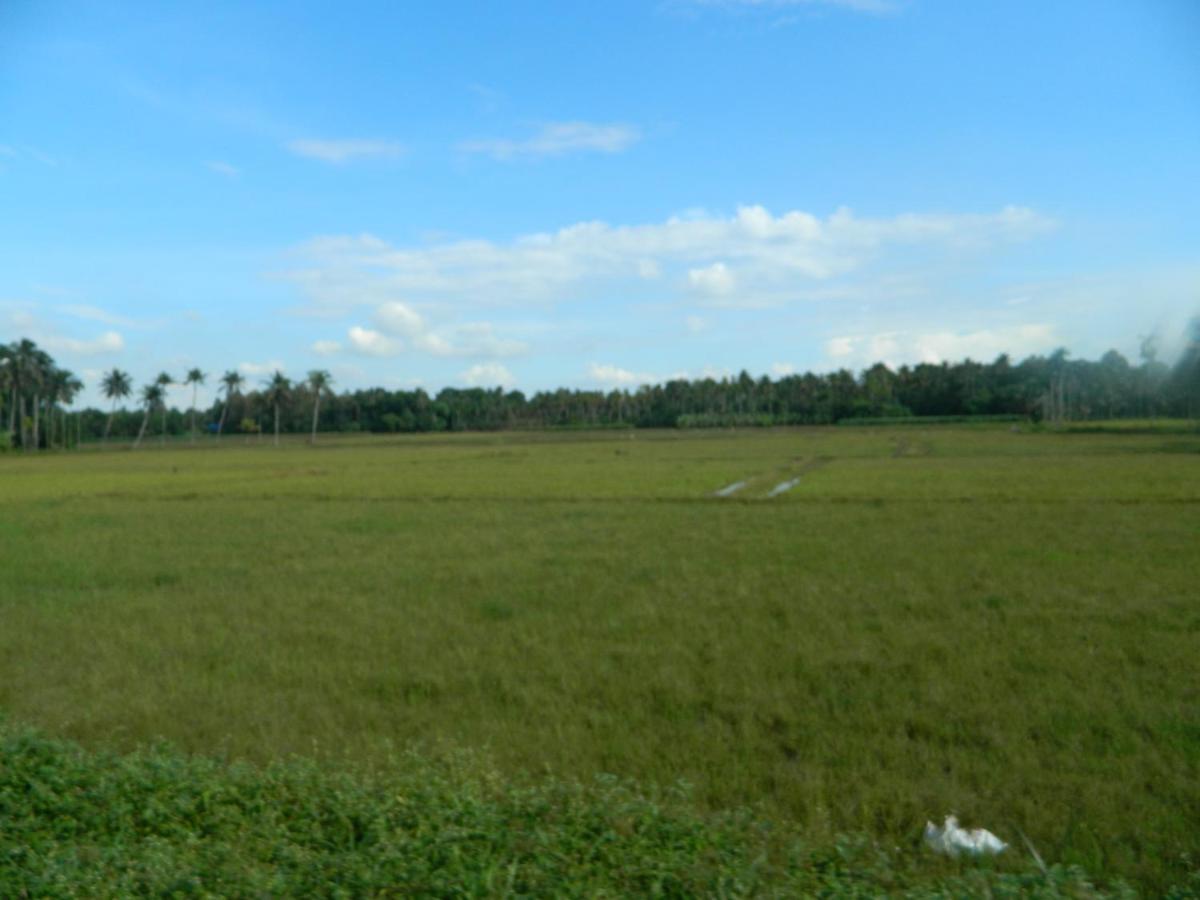Zamaraya Bed & Breakfast Angamali Luaran gambar