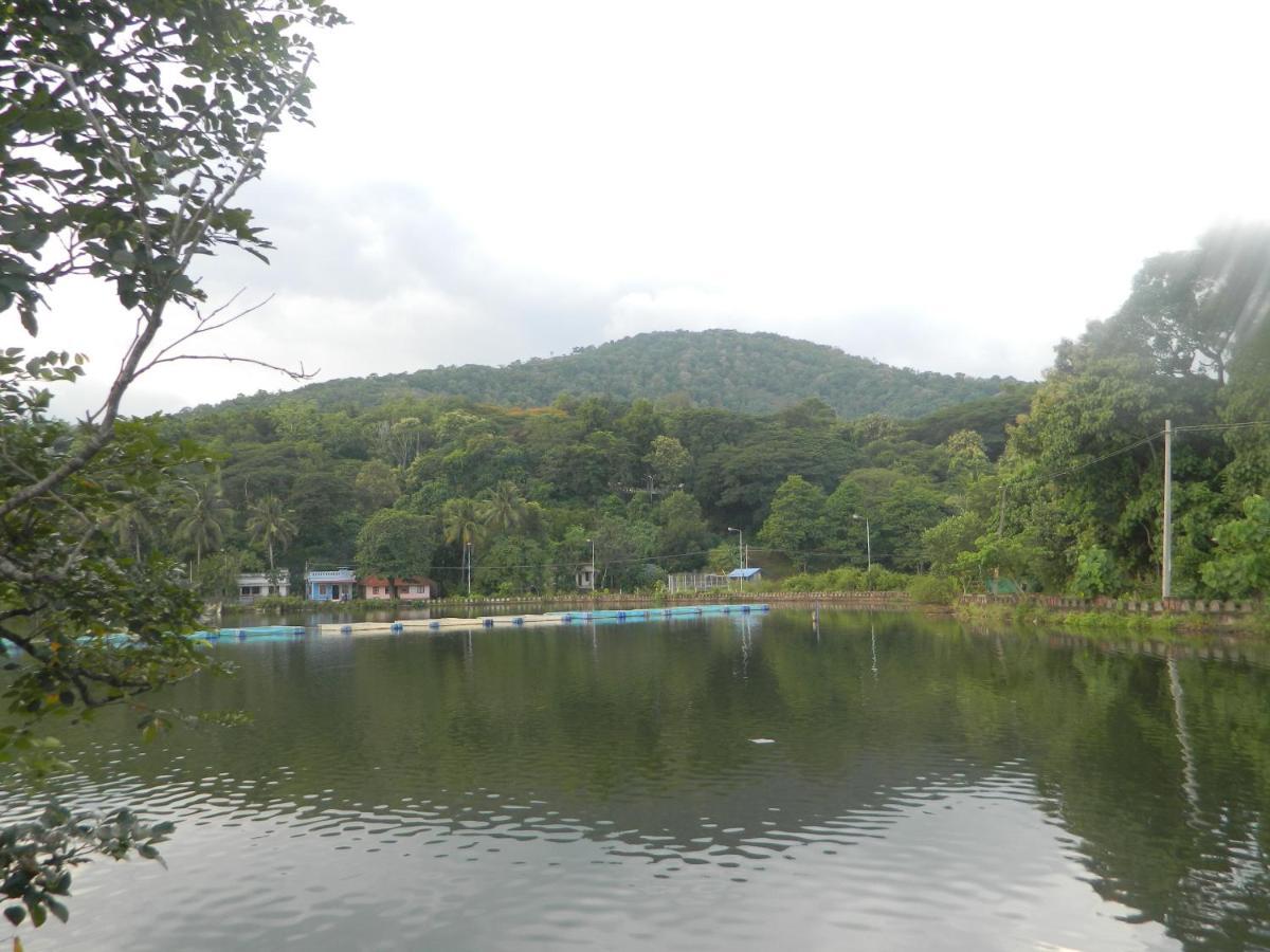 Zamaraya Bed & Breakfast Angamali Luaran gambar